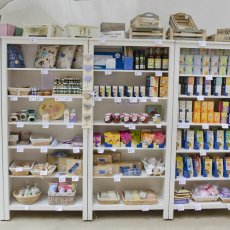 Bylinková zahrada Valtice u Lednice (Tiree Chmelar)