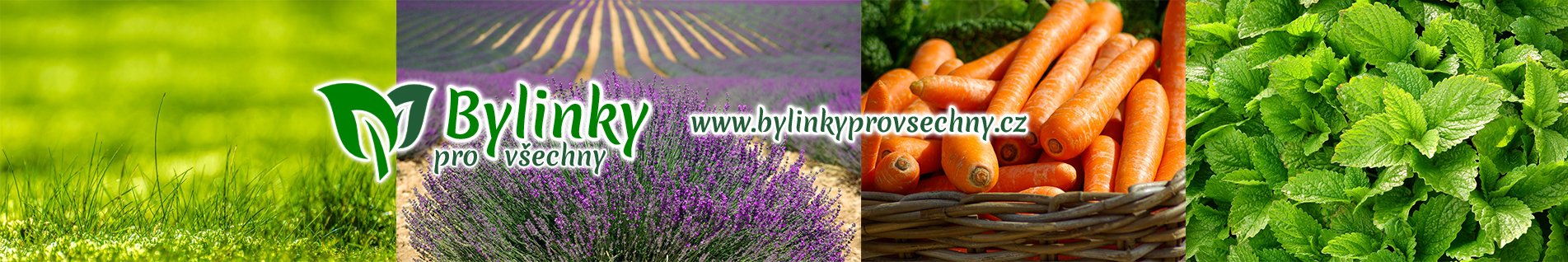 bylinky pro všechny