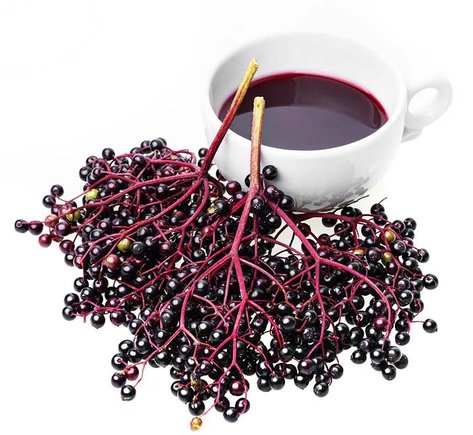 bezovy-bezinkovy-liker-liker-z-kulicek-bezu-cerneho-recept-postup-navod-vyroba-suroviny-3